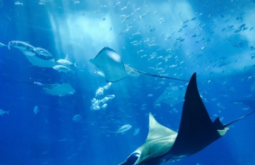 New POS website launch!